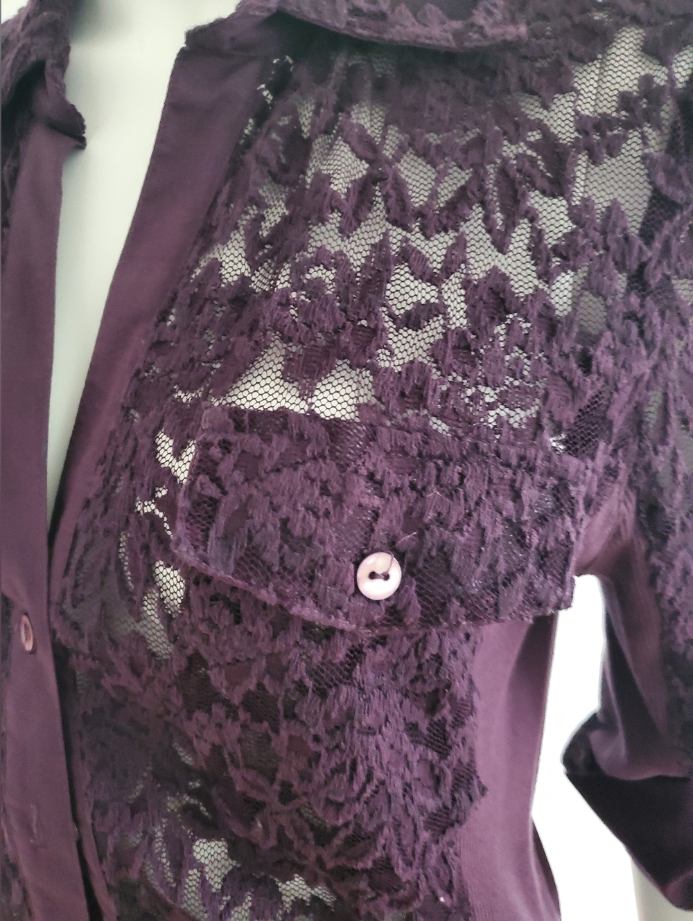 Sheer Blouse - Picture 6 of 8